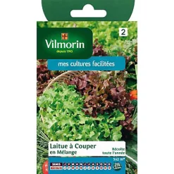 Vilmorin Graines De Laitue En Mélange (Bowl Verte Et Rouge)