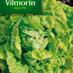 Graines De Laitue Grosse Blonde Paresseuse Vilmorin