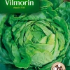 Graines De Laitue Pommée Divina Vilmorin