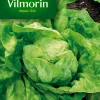 Graines De Laitue Pommée Merveille D'Hiver Vilmorin