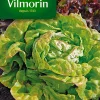 Graines De Laitue Reine De Mai De Pleine Terre Vilmorin