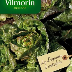 Graines De Laitue Rougette Du Midi à Graines Noires Vilmorin