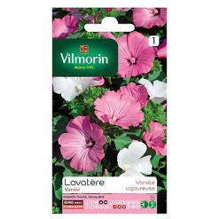 Vilmorin Graines De Lavatère Grande Fleur Variée