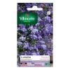 Graines De Lobélia Crystal Palace Vilmorin 2 Graines De Lobélia Crystal Palace Vilmorin -Terreau, gazon, traitement, végétal, semence boutique graines de lobelia crystal palace vilmorin3211500009296 08c