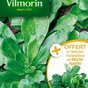 Graines De Mâche Ronde Maraîchère Vilmorin