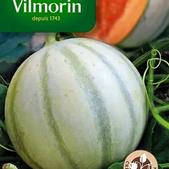 Graines De Melon Savor Hybride F1 Vilmorin