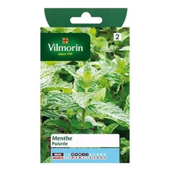 Vilmorin Graines De Menthe Poivrée