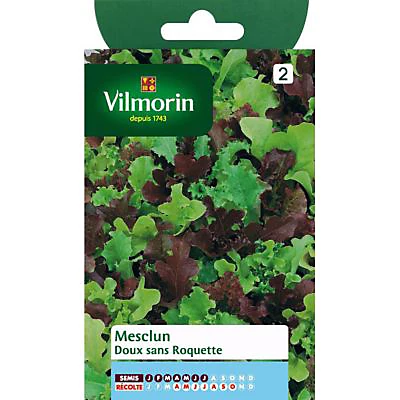 Vilmorin Graines De Mesclun Doux Sans Roquette 3 Vilmorin Graines De Mesclun Doux Sans Roquette