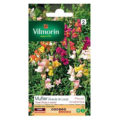 Graines De Muflier Tom Pouce Varié (Geule De Loup) Vilmorin 3 Graines De Muflier Tom Pouce Varié (Geule De Loup) Vilmorin