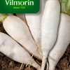 Graines De Navet De Croissy Vilmorin