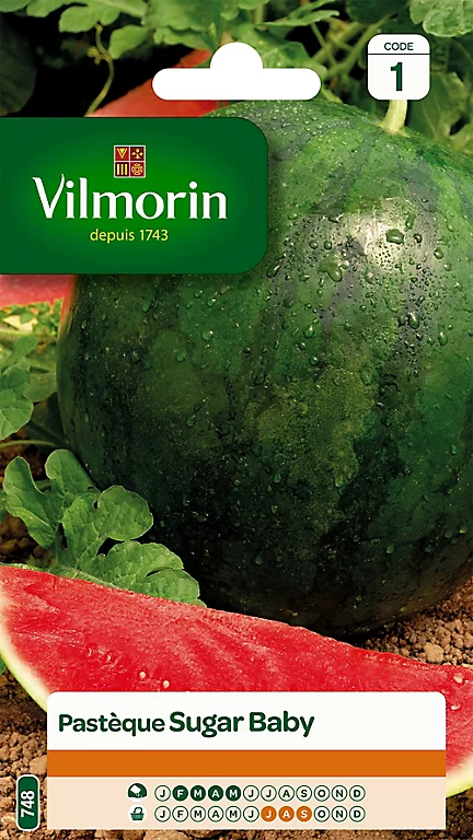 Graines De Pastèque Sugar Baby Vilmorin 3 Graines De Pastèque Sugar Baby Vilmorin