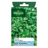 Vilmorin Graines De Persil Géant D'Italie -Terreau, gazon, traitement, végétal, semence boutique graines de persil geant d italie3211500006806 08c