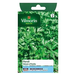 Vilmorin Graines De Persil Géant D'Italie