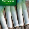 Graines De Poireau D'Hiver Race Vernor Vilmorin -Terreau, gazon, traitement, végétal, semence boutique graines de poireau d hiver race vernor vilmorin3211500008237 01c FR CF