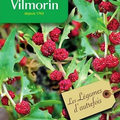 Vilmorin Graines De Pois D'épinard Fraise VL 2