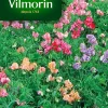 Graines De Pois De Senteur Korrigan Varié Vilmorin -Terreau, gazon, traitement, végétal, semence boutique graines de pois de senteur korrigan varie vilmorin3211500009869 01c FR CF