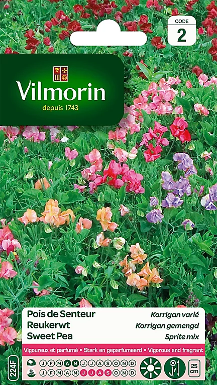 Graines De Pois De Senteur Korrigan Varié Vilmorin 3 Graines De Pois De Senteur Korrigan Varié Vilmorin
