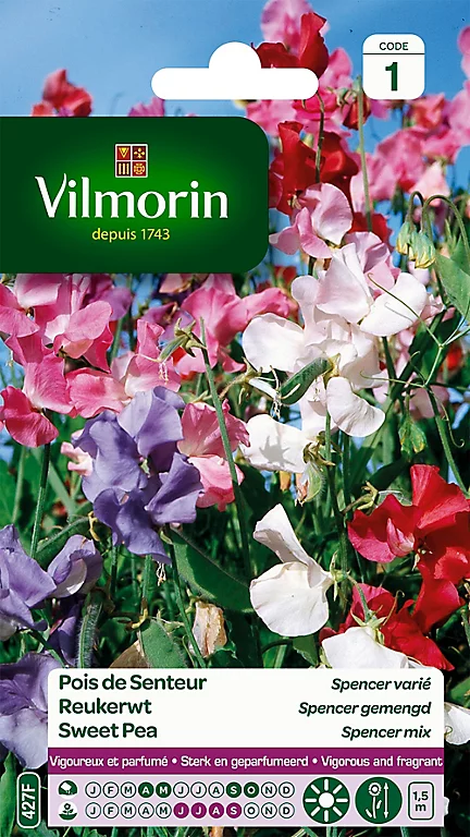 Graines De Pois De Senteur Spencer Varié Vilmorin 3 Graines De Pois De Senteur Spencer Varié Vilmorin