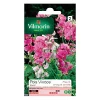 Graines De Pois Vivace Varié Vilmorin 1 Graines De Pois Vivace Varié Vilmorin -Terreau, gazon, traitement, végétal, semence boutique graines de pois vivace varie vilmorin3211500009876 08c
