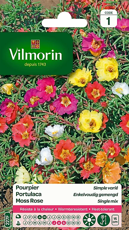 Graines De Pourpier Grande Fleur Simple Varié Vilmorin 3 Graines De Pourpier Grande Fleur Simple Varié Vilmorin