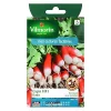 Vilmorin Graines De Radis Expo Hybride F1 -Terreau, gazon, traitement, végétal, semence boutique graines de radis expo hybride f13182670216015 08c
