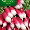 Graines De Radis Flamboyant Vilmorin -Terreau, gazon, traitement, végétal, semence boutique graines de radis flamboyant vilmorin3211500008329 01c FR CF