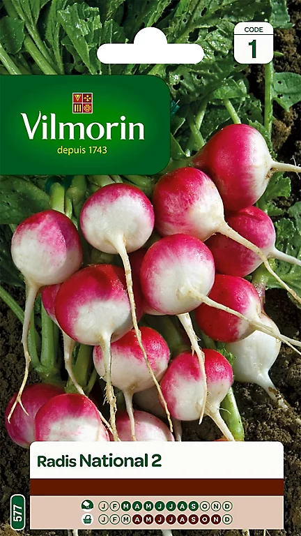 Graines De Radis National Vilmorin 3 Graines De Radis National Vilmorin