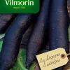 Graines De Radis Noir Gros Long D'Hiver Vilmorin