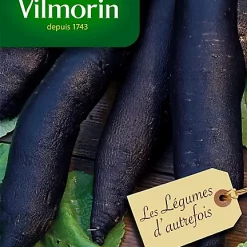 Graines De Radis Noir Gros Long D'Hiver Vilmorin