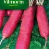 Graines De Radis Rose D'Hiver De Chine Vilmorin -Terreau, gazon, traitement, végétal, semence boutique graines de radis rose d hiver de chine vilmorin3211500008367 01c FR CF