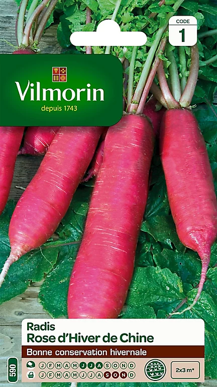 Graines De Radis Rose D'Hiver De Chine Vilmorin 3 Graines De Radis Rose D'Hiver De Chine Vilmorin