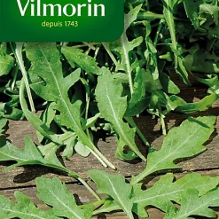Graines De Roquette Cultivée Vilmorin