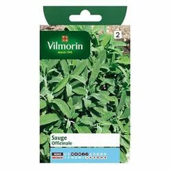 Vilmorin Graines De Sauge Officinale