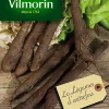 Graines De Scorsonère Géante Noire De Russie Vilmorin -Terreau, gazon, traitement, végétal, semence boutique graines de scorsonere geante noire de russie vilmorin3211500008770 01c FR CF