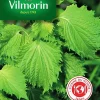 Vilmorin Graines De Shiso Vert VL 2