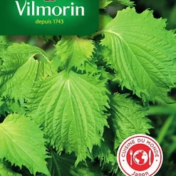 Vilmorin Graines De Shiso Vert VL 2
