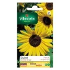 Vilmorin Graines De Soleil Golden Hedge -Terreau, gazon, traitement, végétal, semence boutique graines de soleil golden hedge3182670002977 08c