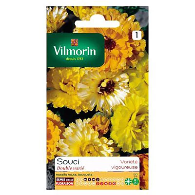 Graines De Souci Double Varié Vilmorin 3 Graines De Souci Double Varié Vilmorin