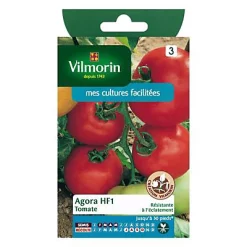 Vilmorin Graines De Tomate Agora Hybride F1