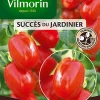 Vilmorin Graines De Tomate Aligote HF1
