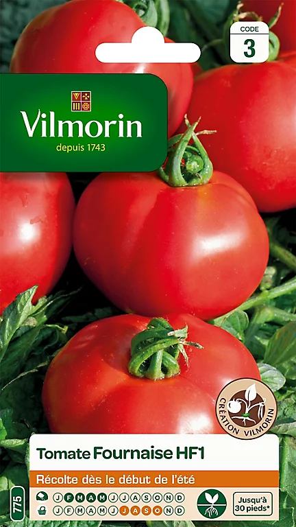 Graines De Tomate Fournaise Hybride F1 Vilmorin 3 Graines De Tomate Fournaise Hybride F1 Vilmorin