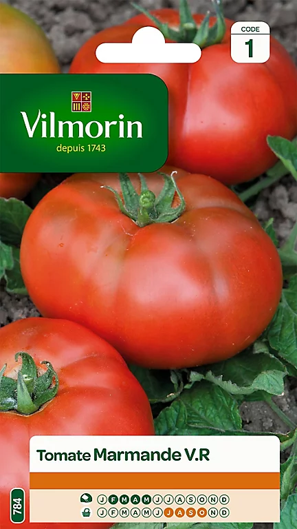 Graines De Tomate Marmande Vilmorin 3 Graines De Tomate Marmande Vilmorin
