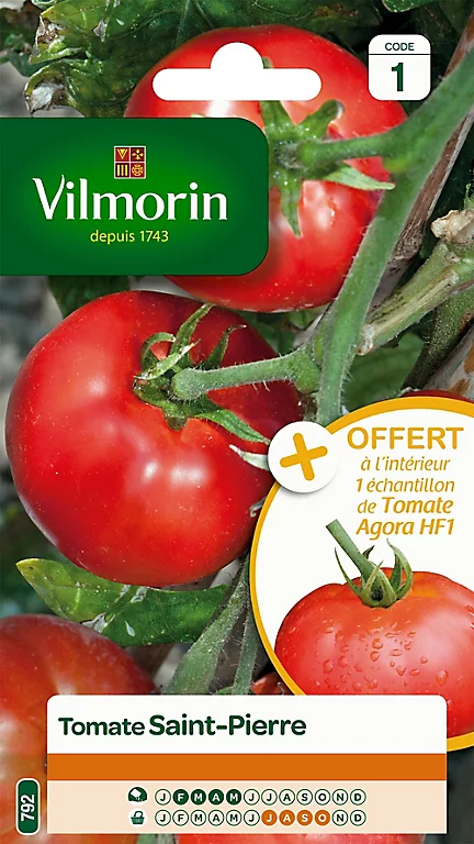 Graines De Tomate Saint Pierre Vilmorin 3 Graines De Tomate Saint Pierre Vilmorin