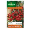 Vilmorin Graines De Tomate Sweetbaby