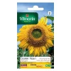 Vilmorin Graines De Tournesol Nain Sunspot