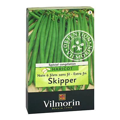 Vilmorin Haricot à Filets Sans Fil Skipper 3 Vilmorin Haricot à Filets Sans Fil Skipper